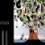 Fon_46_Fernando_Chamarelli_en_2